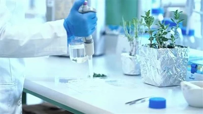 Prova del regulador de creixement de plantes